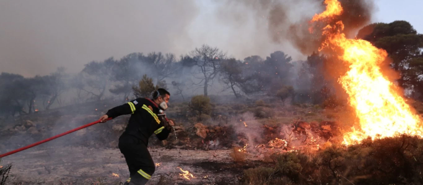 Φωτιά ξέσπασε λίγο μετά τις 12 τα μεσάνυχτα κοντά στον Πύργο Ηλείας (βίντεο)